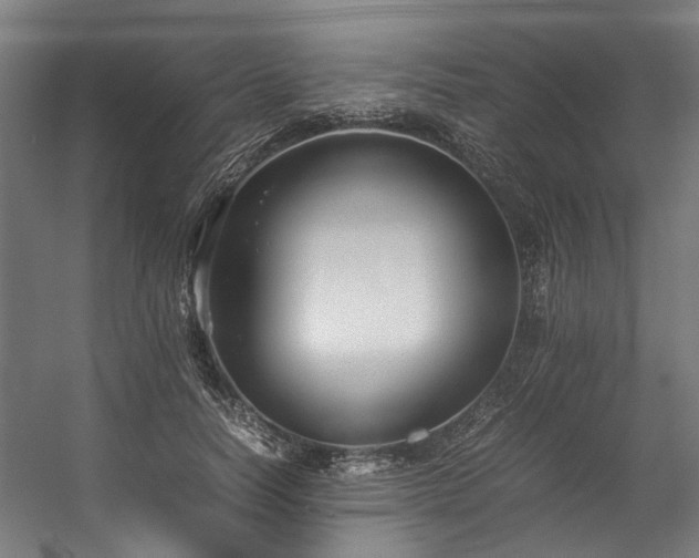 X0000057100746200509121007