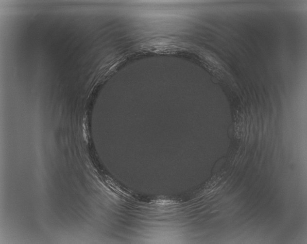 X0000057100748200509121007