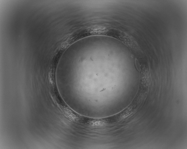 X0000057100755200509121008