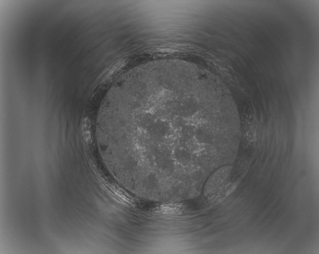 X0000057100758200509121008