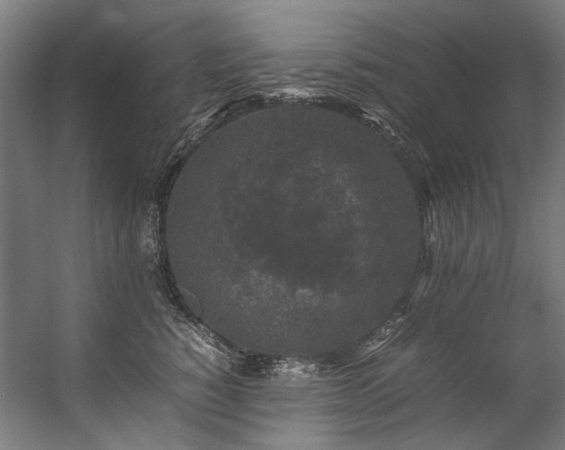 X0000057100760200509121008