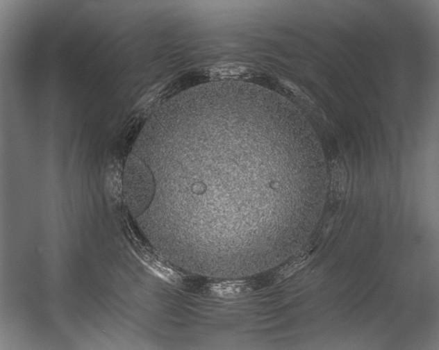 X0000057100761200509121008