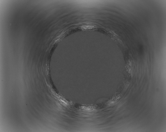 X0000057100763200509121008