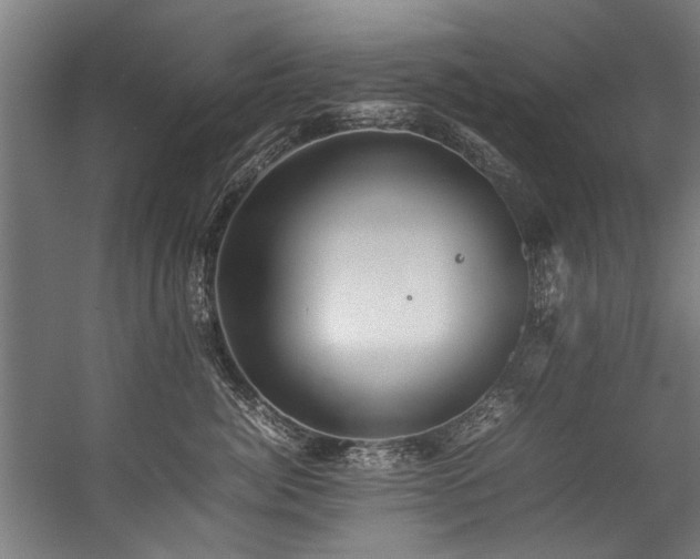 X0000057100764200509121008