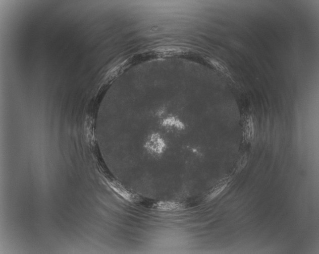 X0000057100766200509121008