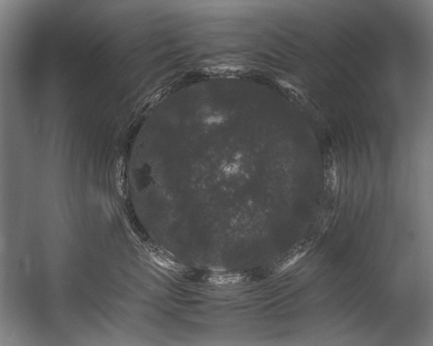 X0000057100767200509121008