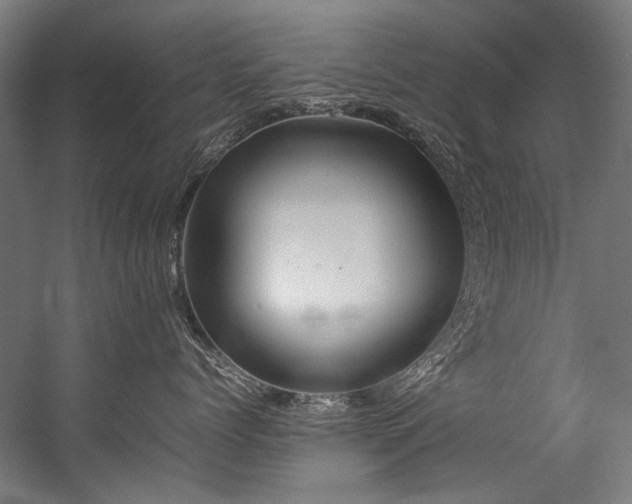 X0000057100768200509121008