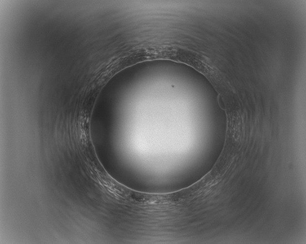 X0000057100770200509121007