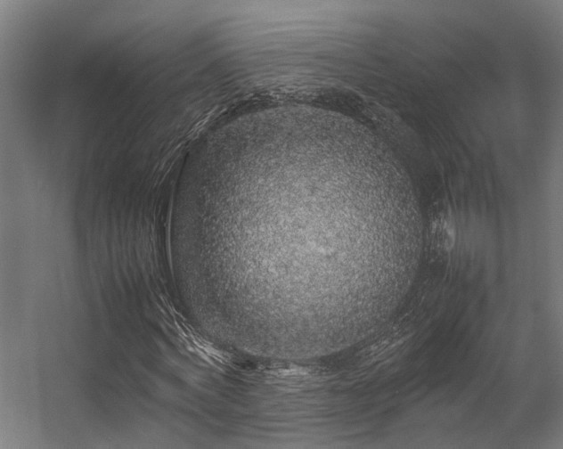 X0000057100772200509121007