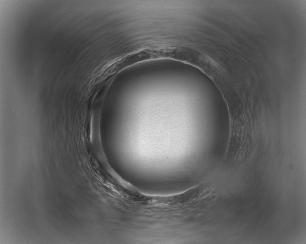 X0000057100773200509121007