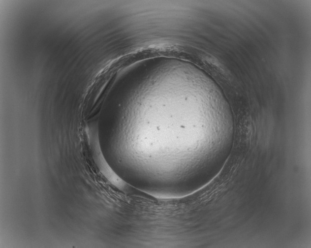 X0000057100776200509121007