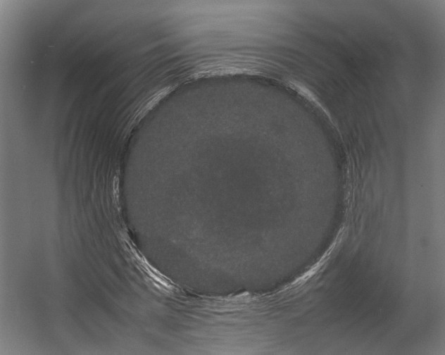 X0000057100777200509121007