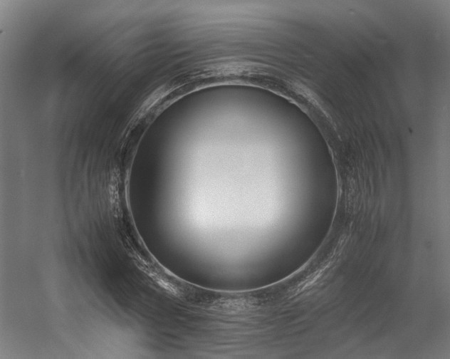 X0000057100778200509121007