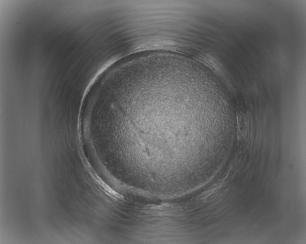 X0000057100780200509121007