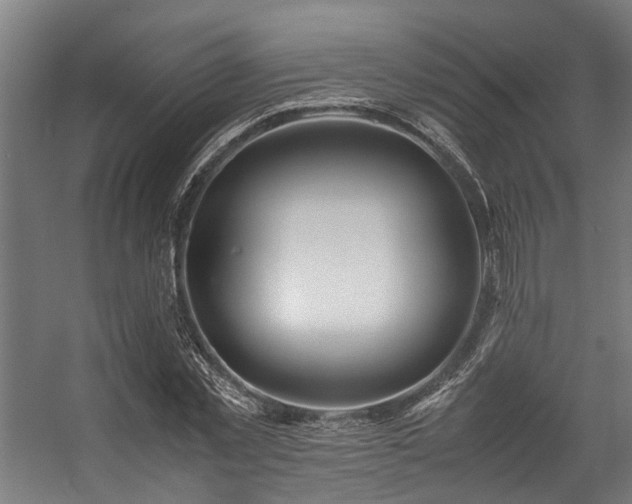 X0000057100781200509121007