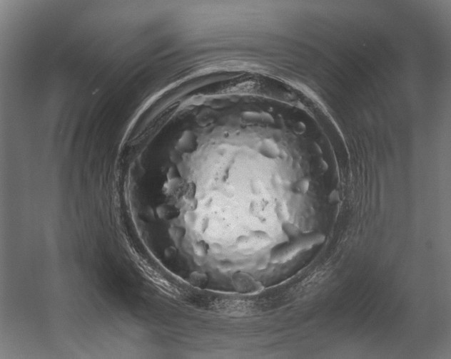 X0000057100783200509121007