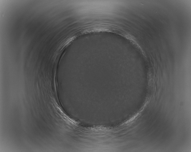 X0000057100785200509121007