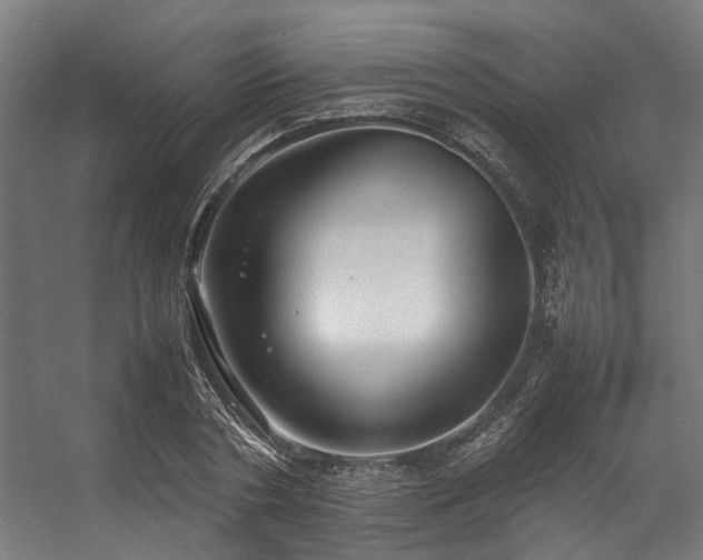 X0000057100786200509121007