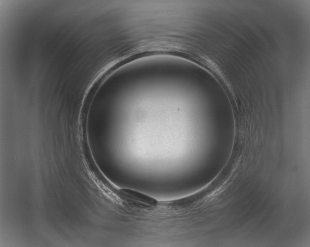 X0000057100787200509121007