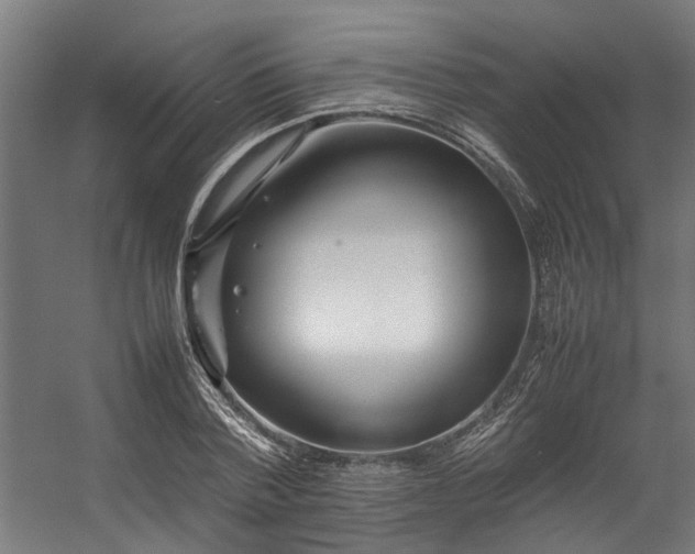 X0000057100788200509121007