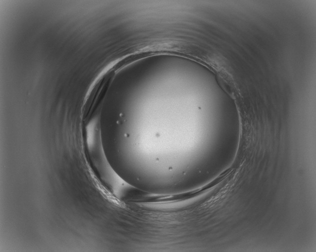 X0000057100792200509121007