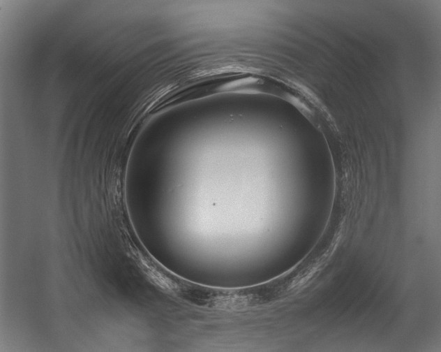 X0000057100793200509121007