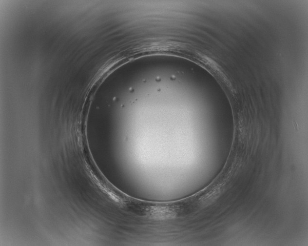 X0000057100794200509121007