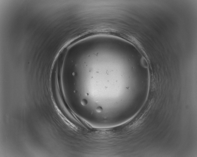 X0000057100795200509121007