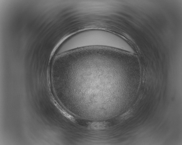 X0000057100796200509121007