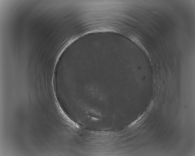 X0000057100797200509121007