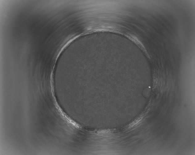 X0000057100798200509121007