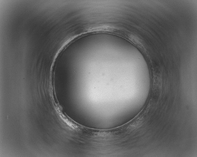 X0000057100800200509121006