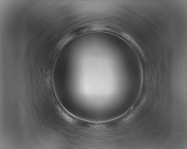 X0000057100801200509121006