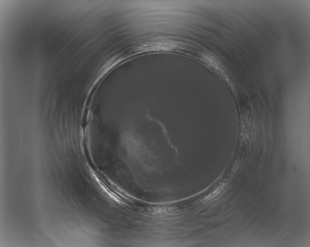 X0000057100802200509121006