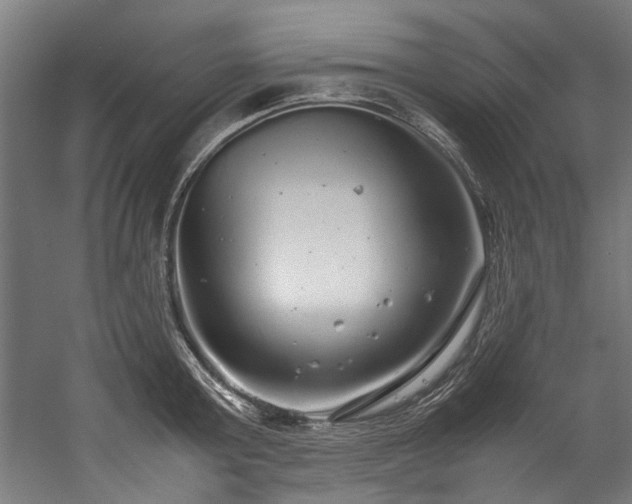 X0000057100803200509121006