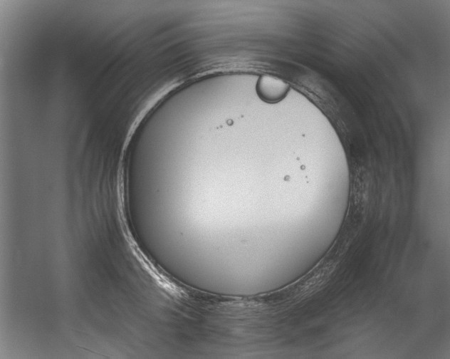 X0000057100804200509121006