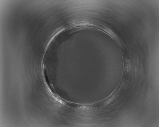 X0000057100806200509121006