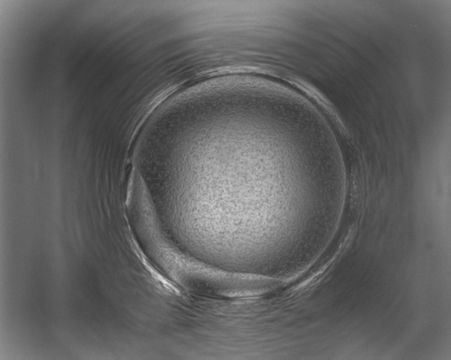 X0000057100809200509121006