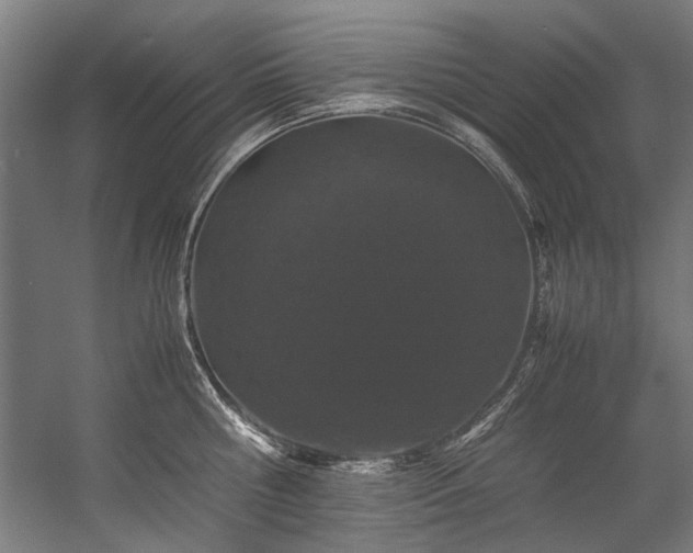 X0000057100810200509121006