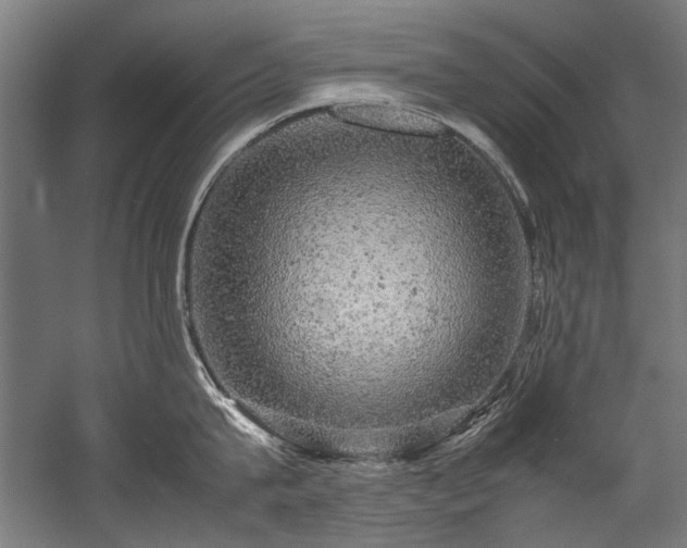 X0000057100815200509121006