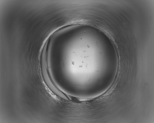 X0000057100816200509121006