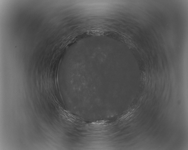 X0000057100818200509121005