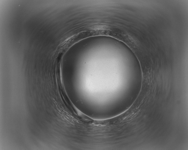 X0000057100821200509121005