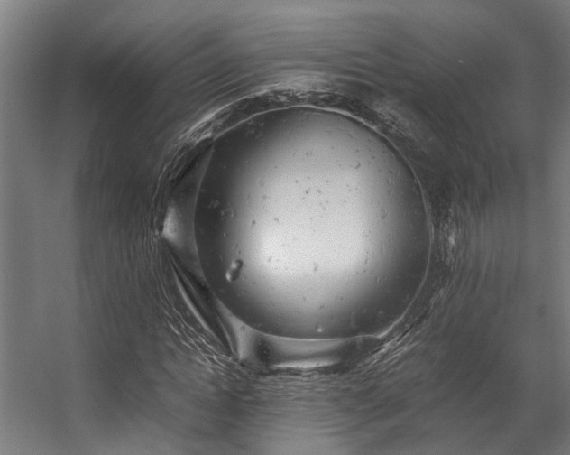 X0000057100822200509121005