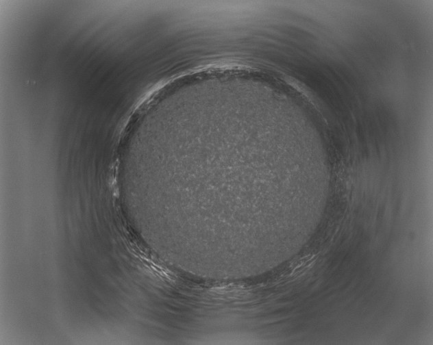 X0000057100823200509121005