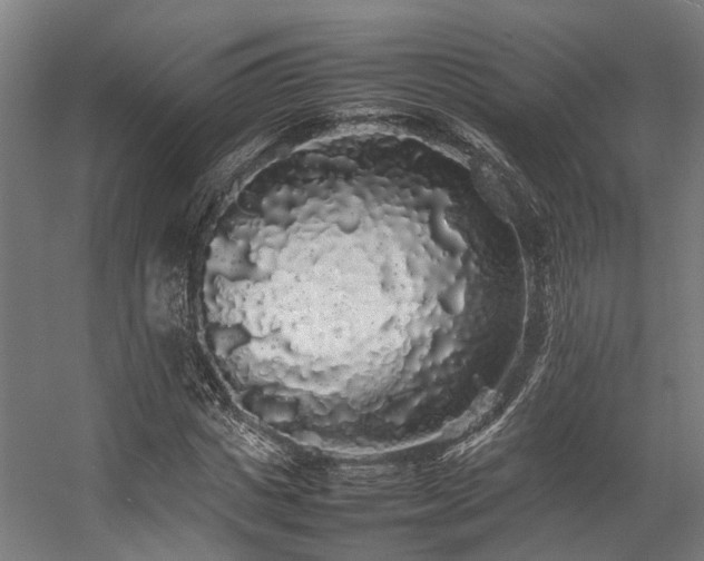 X0000057100825200509121006