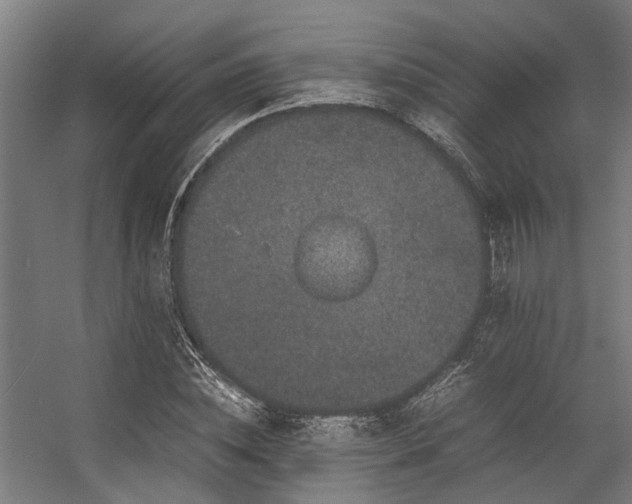 X0000057100828200509121006