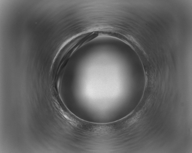 X0000057100830200509121006