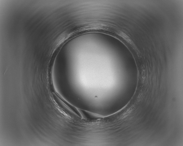 X0000057100834200509121006