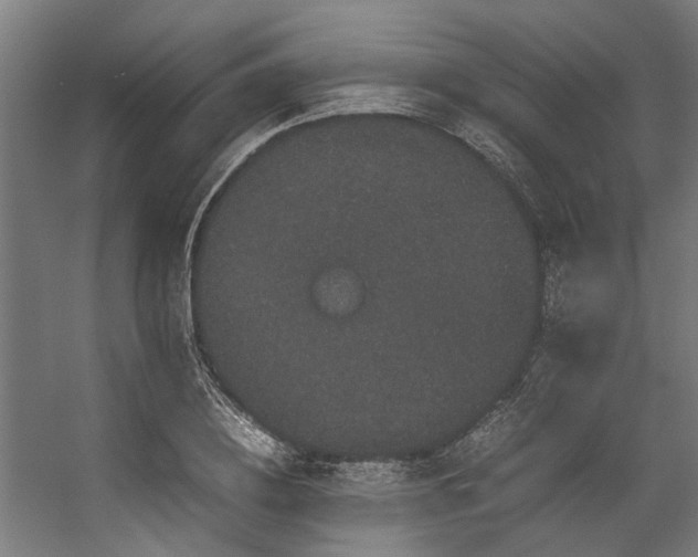 X0000057100836200509121006